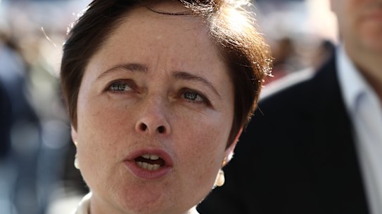 Mulgoa MP Tanya Davies says she will make a decision on her political future after the abortion bill is finalised. 