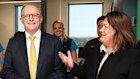 Labor MP Meryl Swanson has backed a controversial windfarm development off the coast of Newcastle.