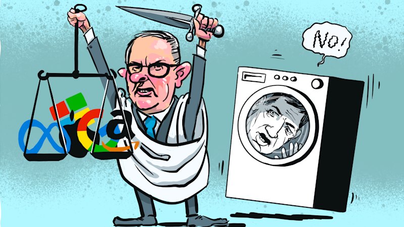 Cartoons of the week