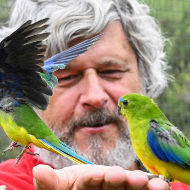 Michael Johnson owns Moonlit Sanctuary wildlife park, the only privately-owned zoo to breed the orange-bellied parrot.