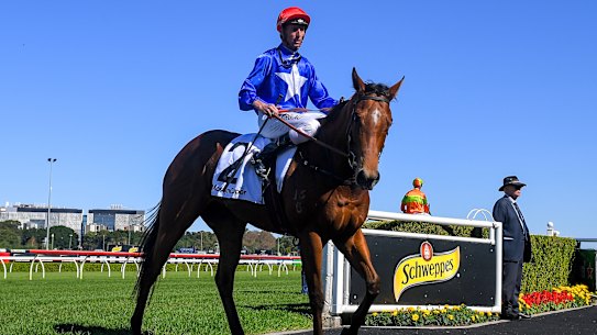The group 1 prestige may have to wait but Rubisaki will chase big money with a Golden Eagle campaign in the spring.