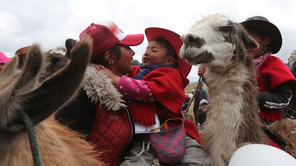 Ecuadorian children race llamas to save national park