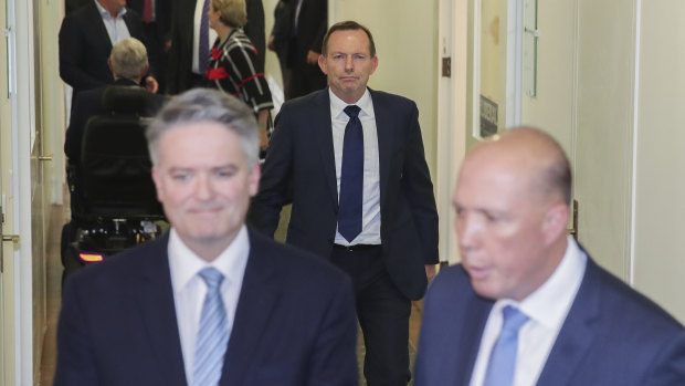 Tony Abbott was instrumental in creating the momentum for Friday's leadership change.