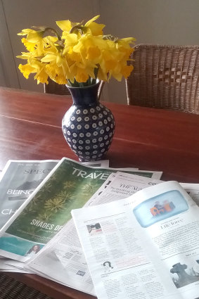 Daffodils and the Good Weekend 
colouring my world.