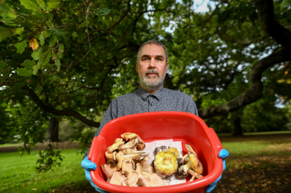 Dr May with a laundry bucket of toxic mushrooms he gathered in and around the Royal Botanic Gardens.