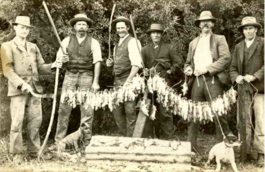 Rat trappers with their catch in the Byaduk area.