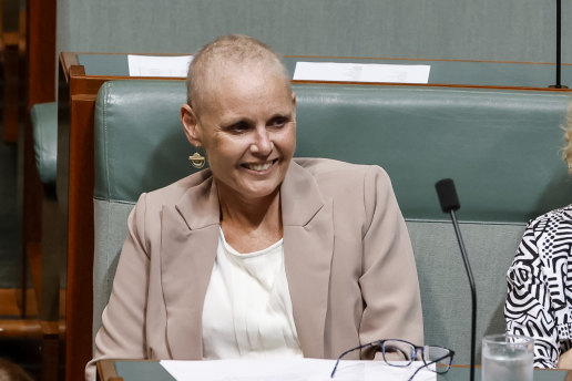 Labor MP Peta Murphy in the House of Representatives in November.