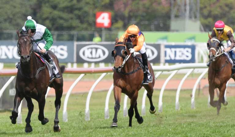  Double trouble: Thinkin' Big might be ready to gap the Victoria Derby but bookies are ready to take him on in the Melbourne Cup.