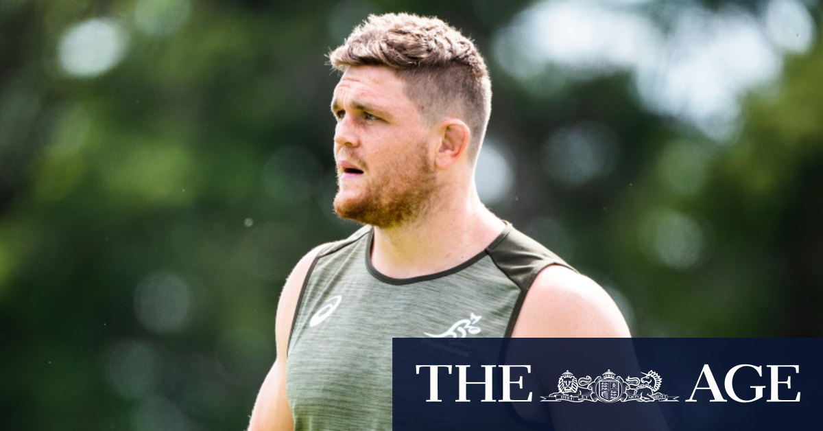 Bledisloe Cup 2020: Lachlan Swinton set for Wallabies ...