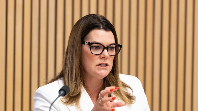 Senate inquiry to interrogate whether cheap, out of date device caused outage (australia) — SMH