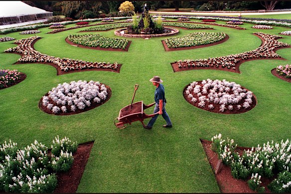 Horticultural officer Adam Smith preparing for “A Taste Of Victoria” at The Mansion Werribee Park. This photo was the 1997 Nikon award winner.