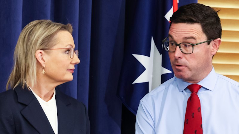 Foolish and stupid, former Coalition is Hanson’s secret weapon