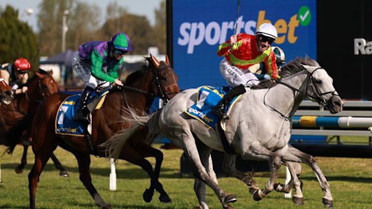 John Allen rides #4 Kingswood to victory in the Caulfield Cup.