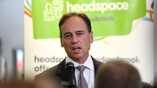 Federal Health Minister Greg Hunt has put a review of mental health MBS item numbers on hold while psychologists work out their differences.