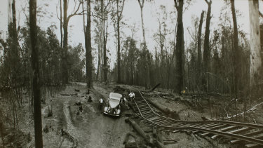 Black Friday Bushfires The Lessons Learnt And Perhaps Forgotten