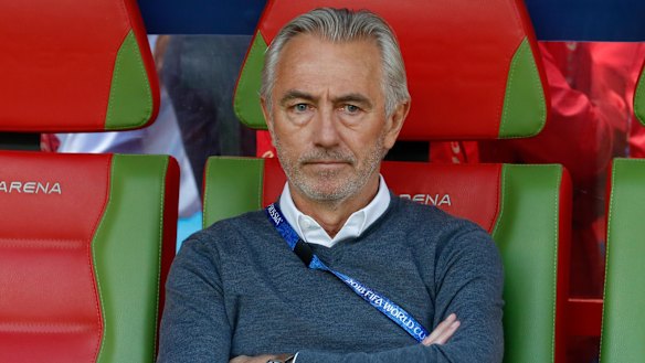 Keeping cool: Bert van Marwijk is relaxed ahead of the clash with Peru.