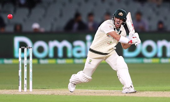 No run! David Warner looked - and sounded - intent on scoring another century on Friday.