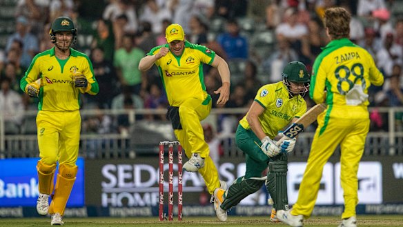 Alex Carey, left, and captain Aaron Finch celebrate the dismissal of South Africa batsman David Miller.