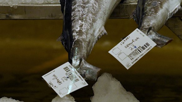 Fish sold at auction from the Sydney Fish Market are given picking slips before being wheeled into refrigerated trucks and taken to restaurants, fishmongers and grocery stores.