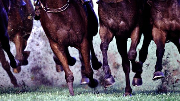 Racing returns to Grafton on Tuesday.