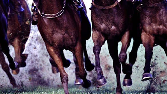 Racing returns to Mudgee on Sunday.