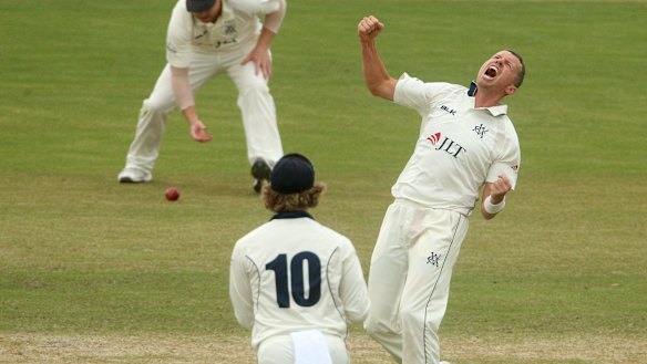 Victoria's Peter Siddle celebrates the dismissal of Moises Henriques on day two of the Shield final against NSW.