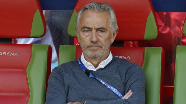 Keeping cool: Bert van Marwijk is relaxed ahead of the clash with Peru.