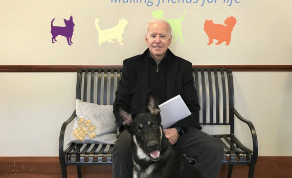 Joe Biden and his adopted German shepherd Major, in Wilmington, Delaware in 2018.