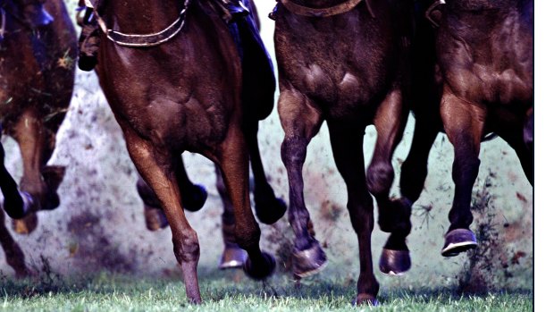 Trainer Cassandra Stummer is confident Lighthouse Lass is ready to deliver at Scone on Thursday.