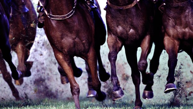 Racing returns to Dubbo on Monday for an eight-race meeting.