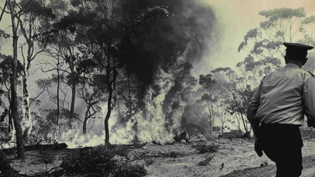 Fire rages on Bee Farm Road, Springwood, November 29, 1968.