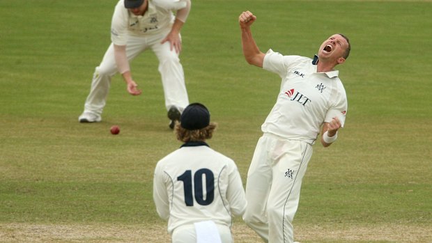 Victoria's Peter Siddle celebrates the dismissal of Moises Henriques on day two of the Shield final against NSW.