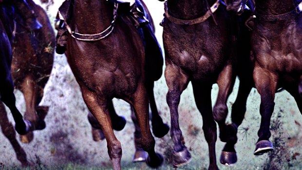 Racing returns to Grafton on Friday.