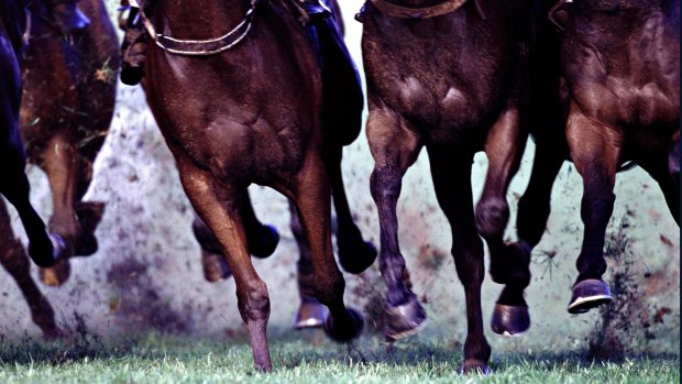 Wagga will host Friday’s NSW feature meeting.
