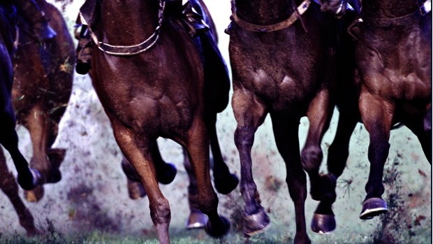 Racing returns to Wyong on Thursday.