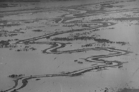 The Macleay River wends its way through floodwaters in the Kempsey district. June 29, 1950.