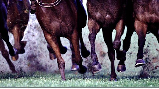 Victoria’s racing minister must ensure probity in such a glamorous, high-profile sport.