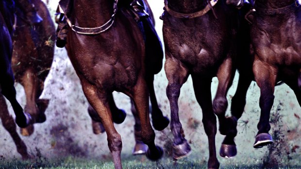 Race-by-race preview and tips for Scone on Tuesday