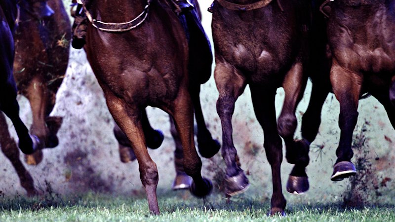 Race-by-race tips and preview for Bathurst on Tuesday