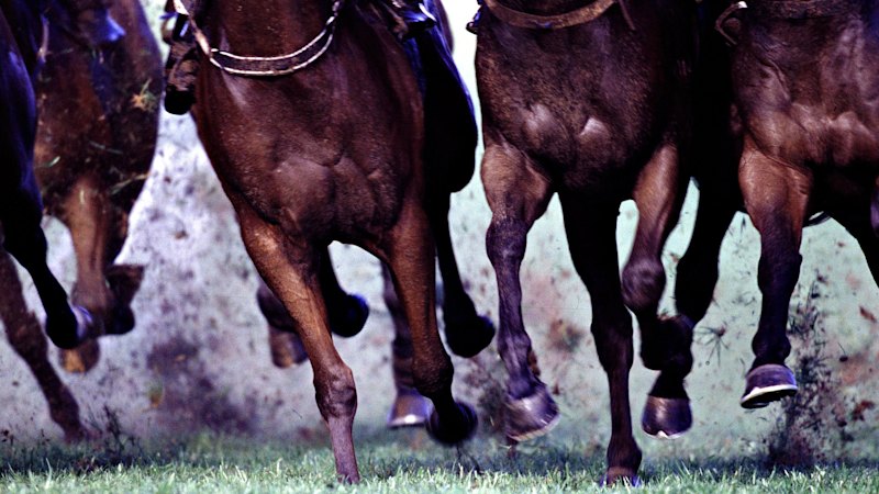 Race-by-race previews and tips for Grafton’s seven-race meeting