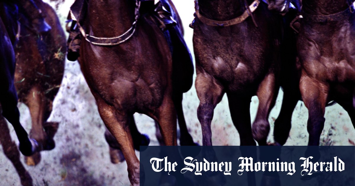 Racing NSW monitoring Victoria Police investigation into historical abuse allegations against trainer
