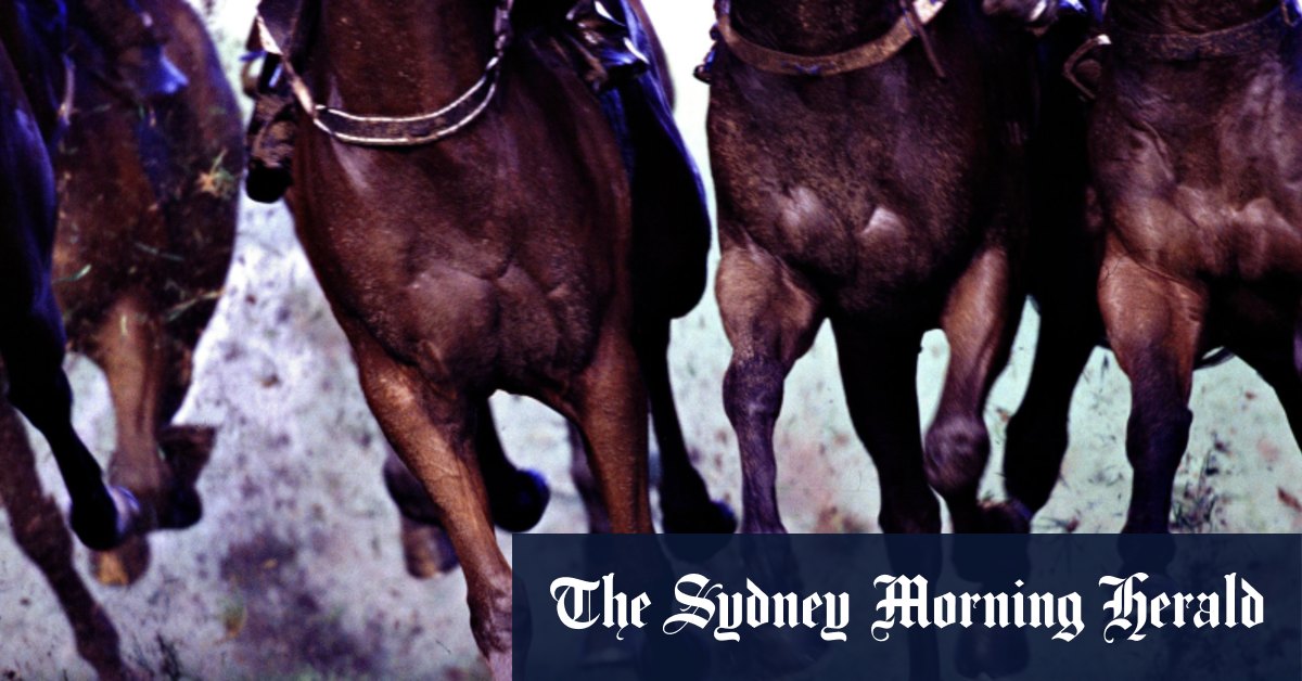 Race-by-race tips and previews for Canterbury on Friday