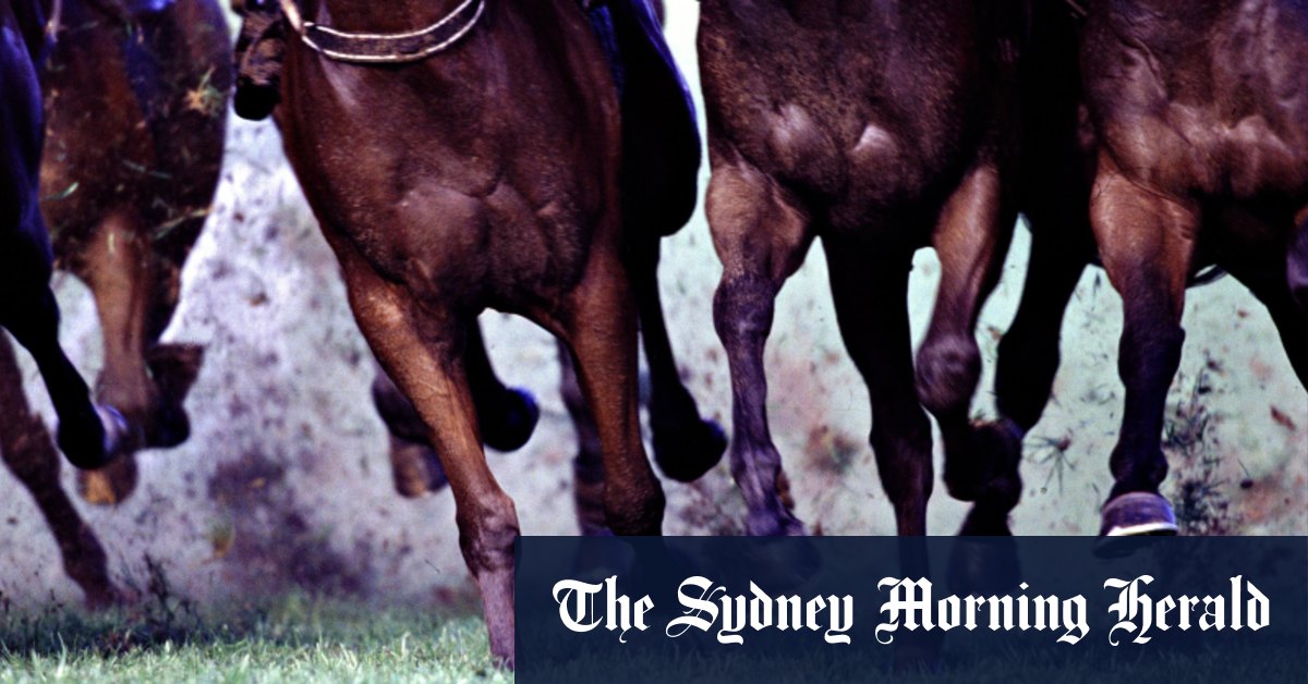 Tamworth Showdown: Sonic Tycoon Seeks Redemption After Gilgandra Cup Upset