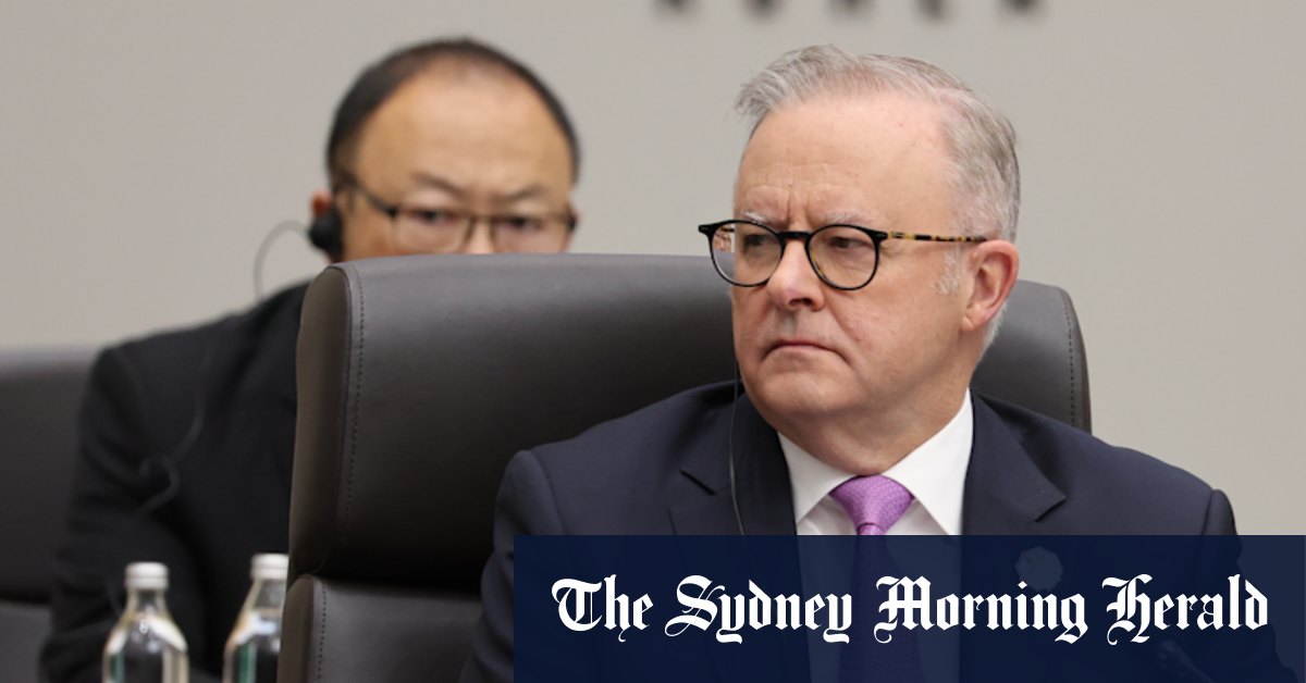 Albanese joins world leaders in giving signal to China and US over trade war