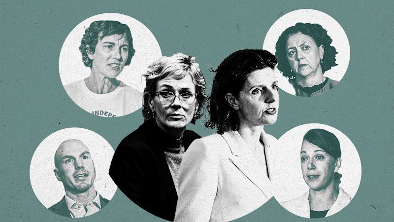 How anti-party teals came to embrace party politics