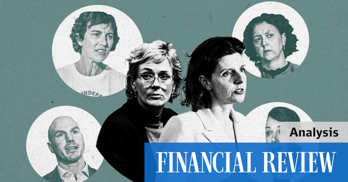 The teal independents have long operated like a loosely arranged political party. But new plans to formalise the arrangement have split them down the middle.