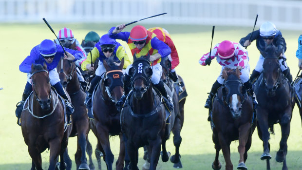 Pierata (red cap) gets the better of Osborne Bulls (blue) in the All Aged Stakes.