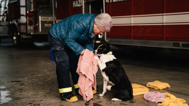 Lynne Engelbert washes Piper at a Chico fire station. 