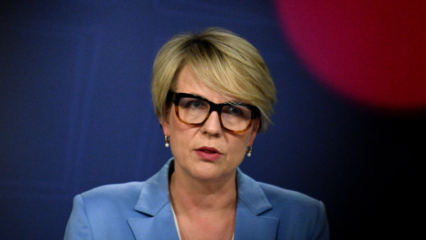 Deputy Leader of the Opposition Tanya Plibersek. 