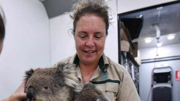 Ellen Richmond and Dr Meg Curnick of Zoos Victoria care for injured koalas Tippy and Jellybean in their mobile vet station.